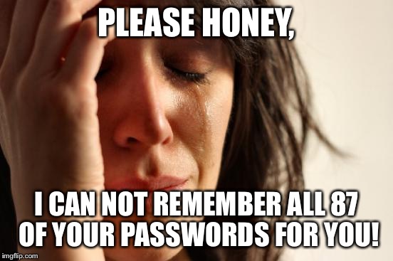 First World Problems Meme | PLEASE HONEY, I CAN NOT REMEMBER ALL 87 OF YOUR PASSWORDS FOR YOU! | image tagged in memes,first world problems | made w/ Imgflip meme maker