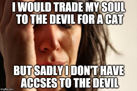 First World Problems | I WOULD TRADE MY SOUL TO THE DEVIL FOR A CAT; BUT SADLY I DON'T HAVE ACCSES TO THE DEVIL | image tagged in memes,first world problems | made w/ Imgflip meme maker