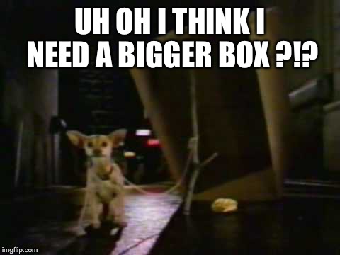 UH OH I THINK I NEED A BIGGER BOX ?!? | image tagged in taco bell dog | made w/ Imgflip meme maker