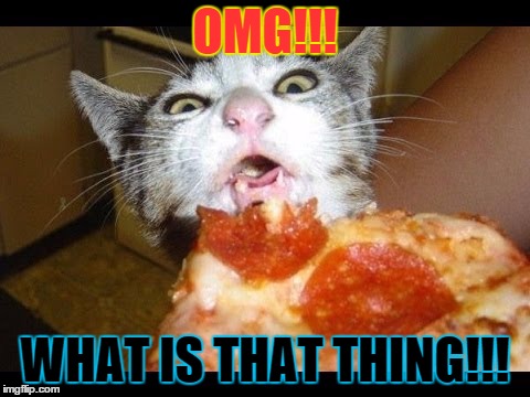 WHAT IS THAT | OMG!!! WHAT IS THAT THING!!! | image tagged in what is that | made w/ Imgflip meme maker