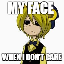 Golden Freddy don't CARE!!!(Neither do I). | MY FACE; WHEN I DON'T CARE | image tagged in i don't care | made w/ Imgflip meme maker