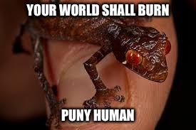 YOUR WORLD SHALL BURN; PUNY HUMAN | image tagged in funny memes | made w/ Imgflip meme maker