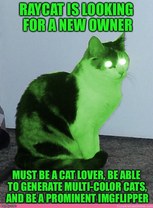 I've run out of time and ideas, if anyone interested to take over RayCat... if more than one, I will decide. | RAYCAT IS LOOKING FOR A NEW OWNER; MUST BE A CAT LOVER, BE ABLE TO GENERATE MULTI-COLOR CATS, AND BE A PROMINENT IMGFLIPPER | image tagged in hypno raycat,memes | made w/ Imgflip meme maker