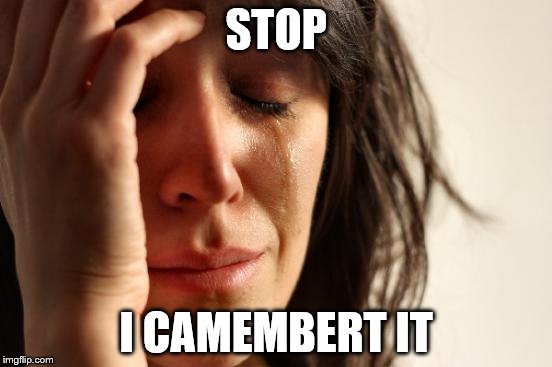 First World Problems Meme | STOP I CAMEMBERT IT | image tagged in memes,first world problems | made w/ Imgflip meme maker