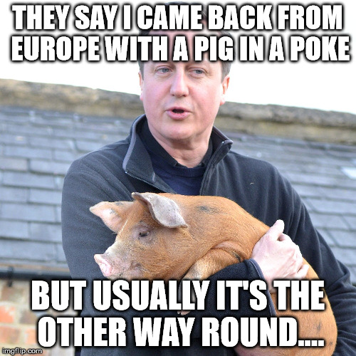 david cameron pig | THEY SAY I CAME BACK FROM EUROPE WITH A PIG IN A POKE; BUT USUALLY IT'S THE OTHER WAY ROUND.... | image tagged in david cameron pig | made w/ Imgflip meme maker