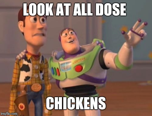 X, X Everywhere | LOOK AT ALL DOSE; CHICKENS | image tagged in memes,x x everywhere | made w/ Imgflip meme maker