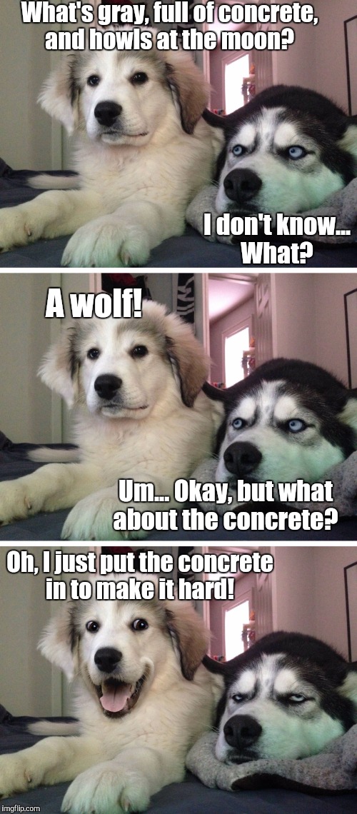 Cement Your Friendships With Humor  | What's gray, full of concrete, and howls at the moon? I don't know... What? A wolf! Um... Okay, but what about the concrete? Oh, I just put the concrete in to make it hard! | image tagged in bad pun dogs,concrete,wolf,riddle,puns,memes | made w/ Imgflip meme maker