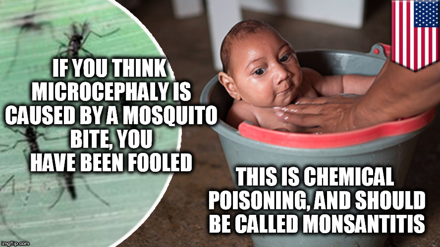 Monsantitis | IF YOU THINK MICROCEPHALY IS CAUSED BY A MOSQUITO BITE, YOU HAVE BEEN FOOLED; THIS IS CHEMICAL POISONING, AND SHOULD BE CALLED MONSANTITIS | image tagged in monsantitis,monsanto,zika virus,zika,microcephaly,chemical | made w/ Imgflip meme maker