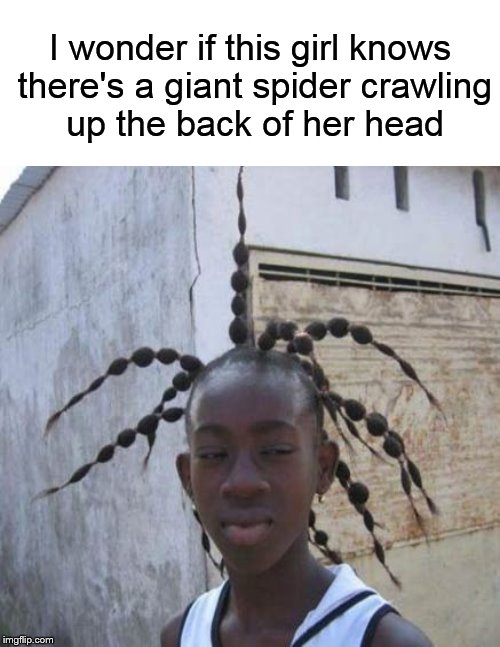 Somebody should tell her.... | I wonder if this girl knows there's a giant spider crawling up the back of her head | image tagged in funny memes,girl,spider,hairstyle | made w/ Imgflip meme maker