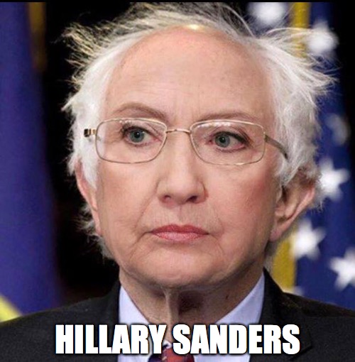 Hillary Sanders |  HILLARY SANDERS | image tagged in hillary clinton,hillary,bernie sanders,bernie,feel the bern | made w/ Imgflip meme maker