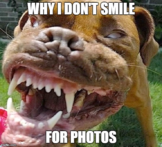 Why I Don't Smile For Photos  | WHY I DON'T SMILE; FOR PHOTOS | image tagged in memes,dog,dogs | made w/ Imgflip meme maker
