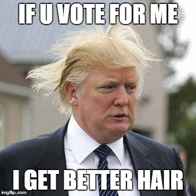 Donald Trump | IF U VOTE FOR ME; I GET BETTER HAIR | image tagged in donald trump | made w/ Imgflip meme maker