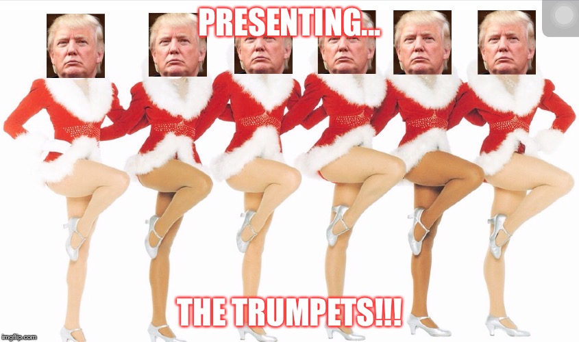 The trumpets!!! | PRESENTING... THE TRUMPETS!!! | image tagged in funny memes | made w/ Imgflip meme maker