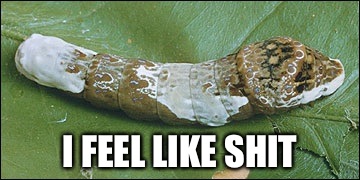 I FEEL LIKE SHIT | image tagged in animals,insects,caterpillar | made w/ Imgflip meme maker