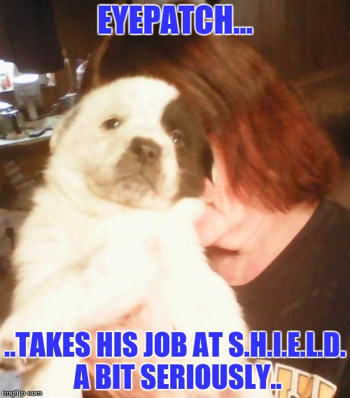 EYEPATCH... ..TAKES HIS JOB AT S.H.I.E.L.D. A BIT SERIOUSLY.. | image tagged in tv,humor | made w/ Imgflip meme maker