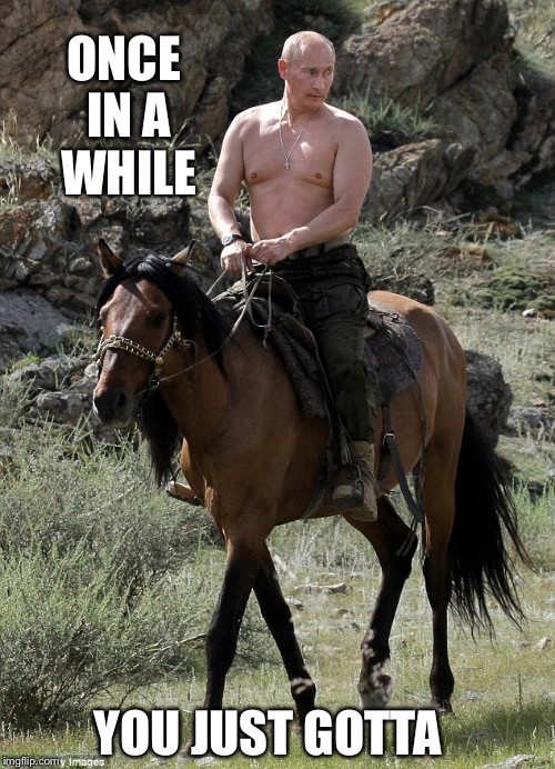 Putin | ONCE IN A WHILE; YOU JUST GOTTA | image tagged in putin | made w/ Imgflip meme maker