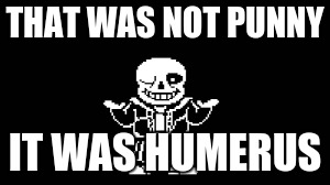 THAT WAS NOT PUNNY IT WAS HUMERUS | made w/ Imgflip meme maker