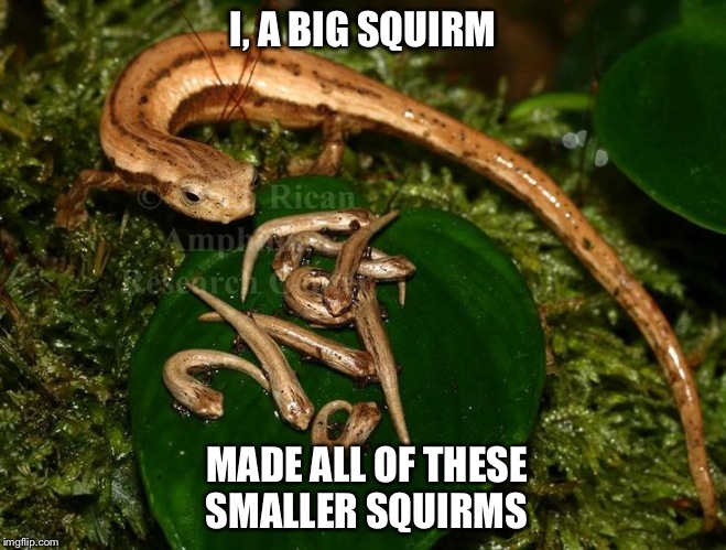 I, A BIG SQUIRM; MADE ALL OF THESE SMALLER SQUIRMS | image tagged in funny,i big wrinkle,salamander,animals | made w/ Imgflip meme maker