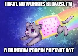 Rainbow pooping pop tart cat | I HAVE NO WORRIES BECAUSE I'M; A RAINBOW POOPIN POPTART CAT | image tagged in cute cat | made w/ Imgflip meme maker