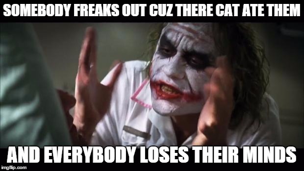 And everybody loses their minds | SOMEBODY FREAKS OUT CUZ THERE CAT ATE THEM; AND EVERYBODY LOSES THEIR MINDS | image tagged in memes,and everybody loses their minds | made w/ Imgflip meme maker