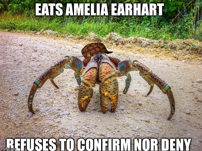 Scumbag coconut crab | EATS AMELIA EARHART; REFUSES TO CONFIRM NOR DENY | image tagged in scumbag | made w/ Imgflip meme maker