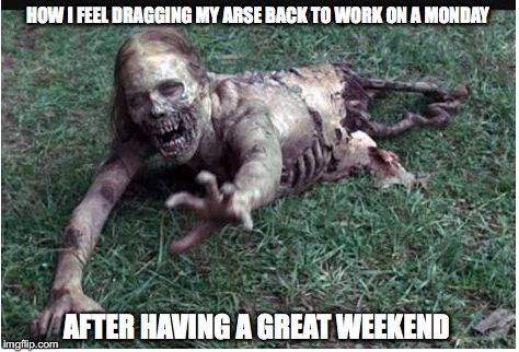 HOW I FEEL DRAGGING MY ARSE BACK TO WORK ON A MONDAY; AFTER HAVING A GREAT WEEKEND | image tagged in work | made w/ Imgflip meme maker
