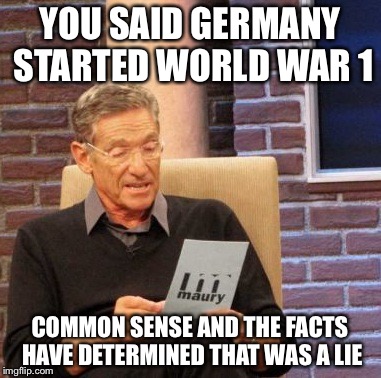 Maury Lie Detector Meme | YOU SAID GERMANY STARTED WORLD WAR 1; COMMON SENSE AND THE FACTS HAVE DETERMINED THAT WAS A LIE | image tagged in memes,maury lie detector | made w/ Imgflip meme maker