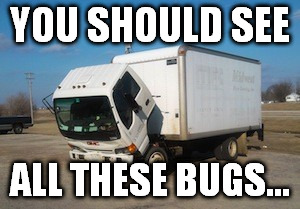 Okay Truck Meme | YOU SHOULD SEE; ALL THESE BUGS... | image tagged in memes,okay truck | made w/ Imgflip meme maker