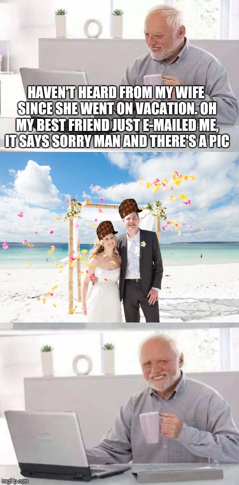 If into the e-mails you go to find where your wife went, only pain will you find | HAVEN'T HEARD FROM MY WIFE SINCE SHE WENT ON VACATION. OH MY BEST FRIEND JUST E-MAILED ME, IT SAYS SORRY MAN AND THERE'S A PIC | image tagged in memes,hide the pain harold | made w/ Imgflip meme maker