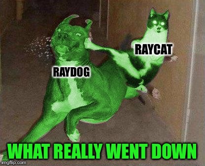 Everyone is wondering what happened to RayDog... there's a new Sheriff in town! ;) | RAYCAT; RAYDOG; WHAT REALLY WENT DOWN | image tagged in raycat kicking raydog,memes | made w/ Imgflip meme maker