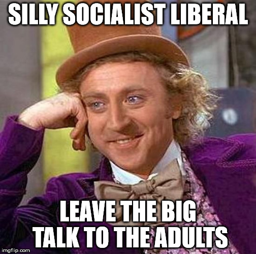 Creepy Condescending Wonka Meme | SILLY SOCIALIST LIBERAL; LEAVE THE BIG TALK TO THE ADULTS | image tagged in memes,creepy condescending wonka | made w/ Imgflip meme maker