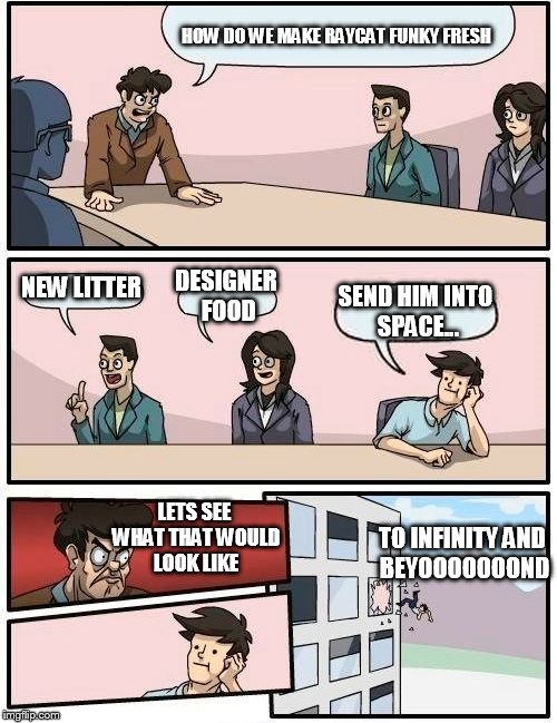 Boardroom Meeting Suggestion Meme | HOW DO WE MAKE RAYCAT FUNKY FRESH NEW LITTER DESIGNER FOOD SEND HIM INTO SPACE... LETS SEE WHAT THAT WOULD LOOK LIKE TO INFINITY AND BEYOOOO | image tagged in memes,boardroom meeting suggestion | made w/ Imgflip meme maker