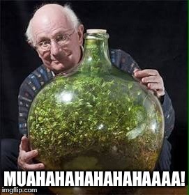 Eco system in a bottle  | MUAHAHAHAHAHAHAAAA! | image tagged in life | made w/ Imgflip meme maker