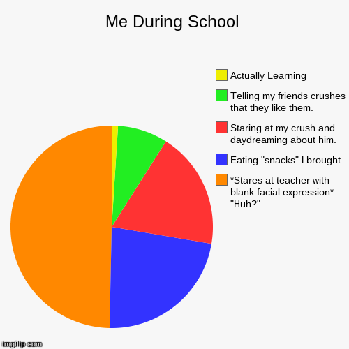 image tagged in funny,pie charts | made w/ Imgflip chart maker