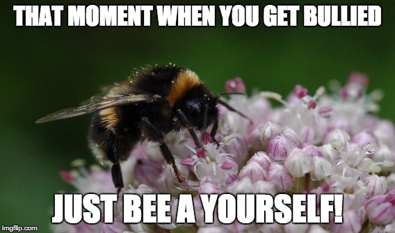 THAT MOMENT WHEN YOU GET BULLIED; JUST BEE A YOURSELF! | made w/ Imgflip meme maker