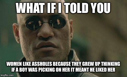Matrix Morpheus Meme | WHAT IF I TOLD YOU; WOMEN LIKE ASSHOLES BECAUSE THEY GREW UP THINKING IF A BOY WAS PICKING ON HER IT MEANT HE LIKED HER | image tagged in memes,matrix morpheus | made w/ Imgflip meme maker