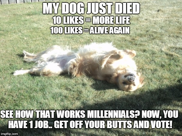 vote | MY DOG JUST DIED; 10 LIKES = MORE LIFE; 100 LIKES = ALIVE AGAIN; SEE HOW THAT WORKS MILLENNIALS? NOW, YOU HAVE 1 JOB.. GET OFF YOUR BUTTS AND VOTE! | image tagged in dead,dog,vote | made w/ Imgflip meme maker