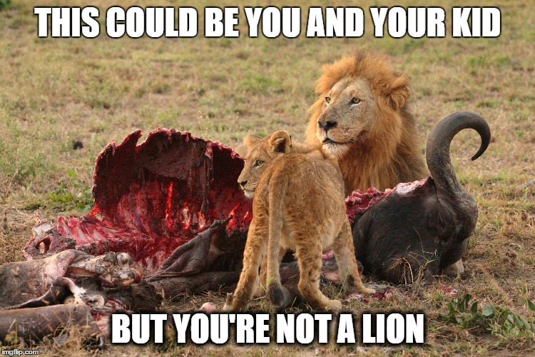 THIS COULD BE YOU AND YOUR KID; BUT YOU'RE NOT A LION | image tagged in lion | made w/ Imgflip meme maker