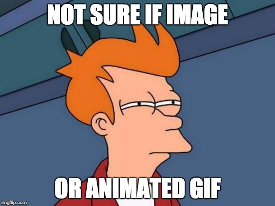 Futurama Fry Meme | NOT SURE IF IMAGE OR ANIMATED GIF | image tagged in memes,futurama fry | made w/ Imgflip meme maker