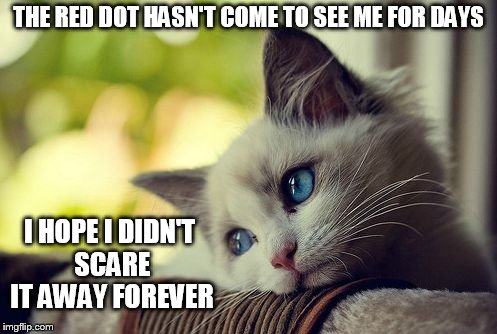 First World Problems Cat Meme | THE RED DOT HASN'T COME TO SEE ME FOR DAYS; I HOPE I DIDN'T SCARE IT AWAY FOREVER | image tagged in memes,first world problems cat,cats | made w/ Imgflip meme maker