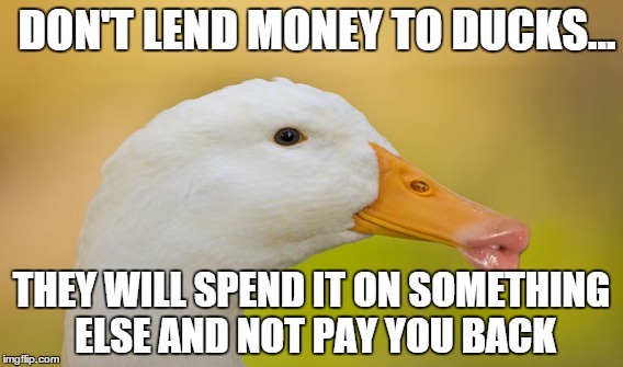 Don't lend money to ducks.... | DON'T LEND MONEY TO DUCKS... THEY WILL SPEND IT ON SOMETHING ELSE AND NOT PAY YOU BACK | image tagged in ducks,duck,lips,money,fake | made w/ Imgflip meme maker