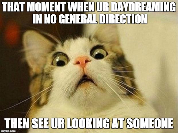 Scared Cat Meme | THAT MOMENT WHEN UR DAYDREAMING IN NO GENERAL DIRECTION; THEN SEE UR LOOKING AT SOMEONE | image tagged in memes,scared cat | made w/ Imgflip meme maker
