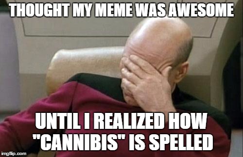 Captain Picard Facepalm Meme | THOUGHT MY MEME WAS AWESOME UNTIL I REALIZED HOW "CANNIBIS" IS SPELLED | image tagged in memes,captain picard facepalm | made w/ Imgflip meme maker