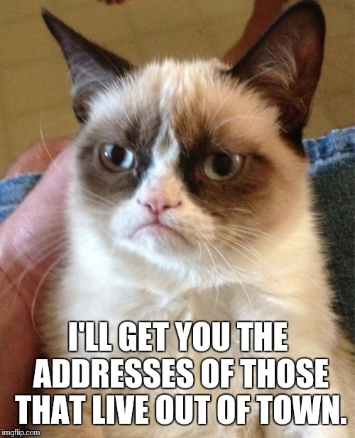 Grumpy Cat Meme | I'LL GET YOU THE ADDRESSES OF THOSE THAT LIVE OUT OF TOWN. | image tagged in memes,grumpy cat | made w/ Imgflip meme maker