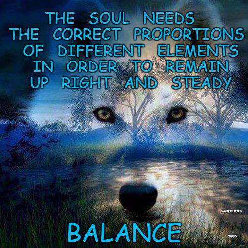 Balance | THE   SOUL   NEEDS   THE   CORRECT   PROPORTIONS   OF   DIFFERENT   ELEMENTS   IN   ORDER   TO   REMAIN   UP   RIGHT   AND   STEADY; BALANCE | image tagged in motivation,spiritual | made w/ Imgflip meme maker