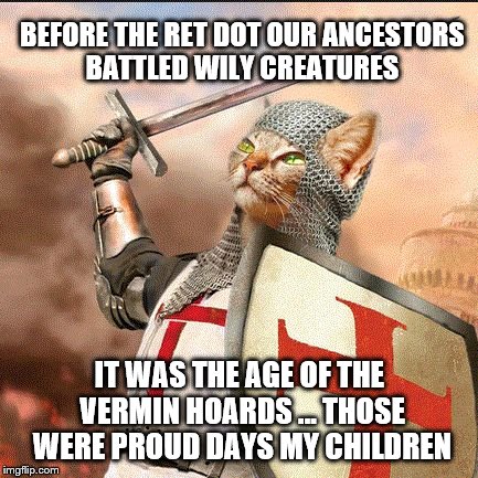 Crusader Cat: Before the Red Dot |  BEFORE THE RET DOT OUR ANCESTORS BATTLED WILY CREATURES; IT WAS THE AGE OF THE VERMIN HOARDS ... THOSE WERE PROUD DAYS MY CHILDREN | image tagged in crusader cat,memes,red dot,vermin,proud,ancestors | made w/ Imgflip meme maker