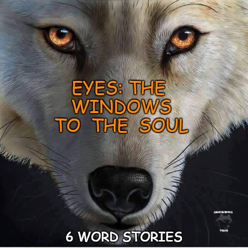 6 word story #6 | EYES: THE  WINDOWS  TO  THE  SOUL; 6 WORD STORIES | image tagged in spiritual | made w/ Imgflip meme maker