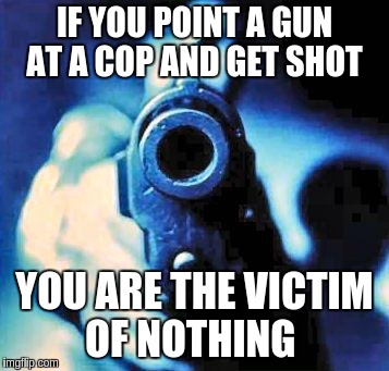 gun in face | IF YOU POINT A GUN AT A COP AND GET SHOT; YOU ARE THE VICTIM OF NOTHING | image tagged in gun in face | made w/ Imgflip meme maker