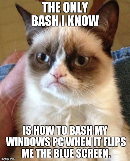 Grumpy Cat | THE ONLY BASH I KNOW; IS HOW TO BASH MY WINDOWS PC WHEN IT FLIPS ME THE BLUE SCREEN. | image tagged in memes,grumpy cat | made w/ Imgflip meme maker