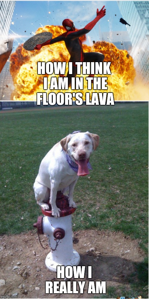 Floor's lava  | HOW I THINK I AM IN THE FLOOR'S LAVA; HOW I REALLY AM | image tagged in lava,yay,dog,funny,memes,games | made w/ Imgflip meme maker
